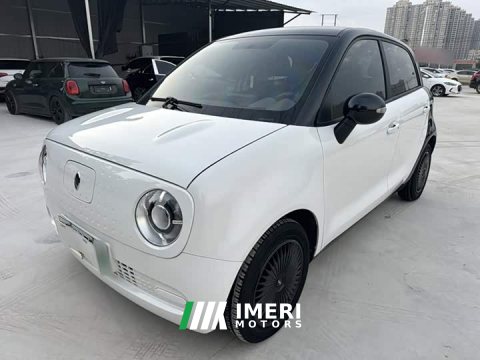 2021 ORA Black Cat 301km Base - ავტომობილი ჩინეთიდან