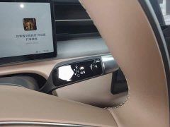 XPeng X9 Pure Electric 702 AWD High Performance Max - ფოტო 14