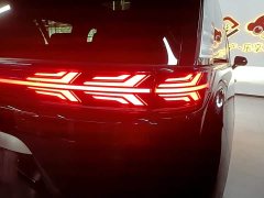 Denza BYD Denza D9 DM-i 1050 Premium - ფოტო 8