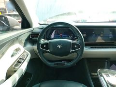 Arcfox Alpha S 708S 160kW - ფოტო 11