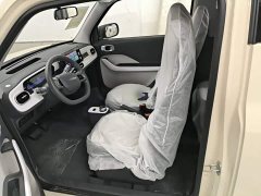 Geely Panda 2025 Panda Mini 210km Vitality Edition - ფოტო 15