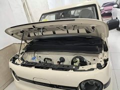 Geely Panda 2025 Panda Mini 210km Vitality Edition - ფოტო 20