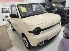 Geely Panda 2025 Panda Mini 210km Vitality Edition - ფოტო 4