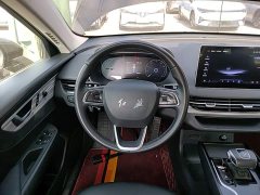FAW Hongqi E-QM5 500km Travel Edition - ფოტო 11