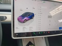 Tesla Model Y 2022 Rear-Wheel Drive - ფოტო 12