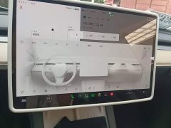 Tesla Model Y 2022 Rear-Wheel Drive - ფოტო 13