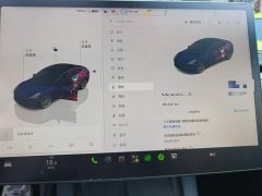 Tesla Model 3 2022 Rear-Wheel Drive - ფოტო 12