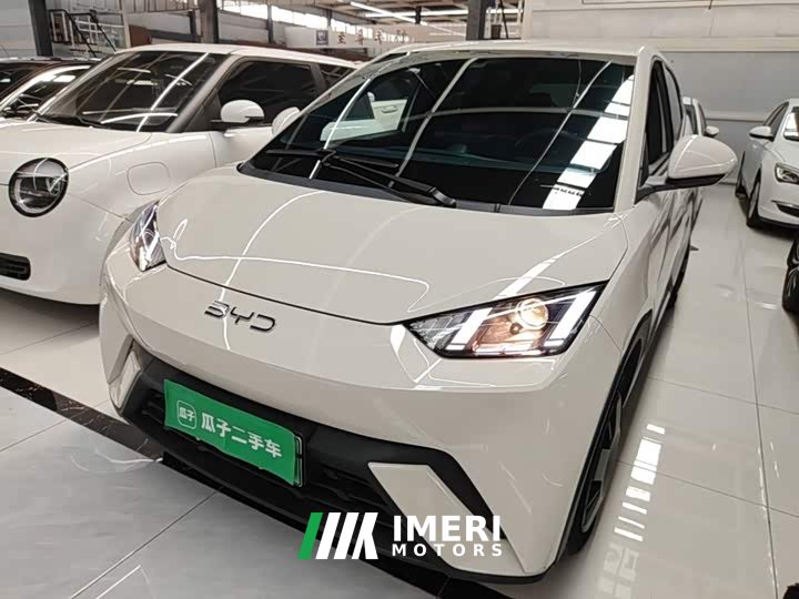 BYD Seagull 2025 305km Vitality Edition - ავტომობილი ჩინეთიდან