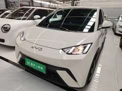 BYD Seagull 2025 305km Vitality Edition - ფოტო 1
