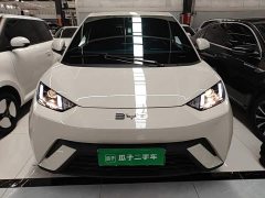 BYD Seagull 2025 305km Vitality Edition - ფოტო 3