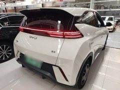 BYD Seagull 2025 305km Vitality Edition - ფოტო 7