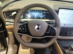 Denza D9 2022 DM-i 970 AWD Flagship - ფოტო 11