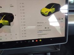 Tesla Model Y Rear-Wheel Drive - ფოტო 12