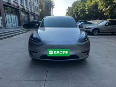 Tesla Model Y Rear-Wheel Drive - ფოტო 3