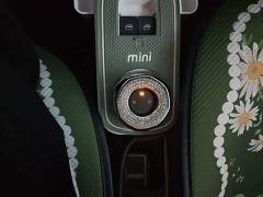 Geely Panda Mini 210km Vitality Edition - ფოტო 14