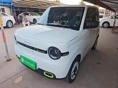 Geely Panda Mini 210km Vitality Edition - ფოტო 2