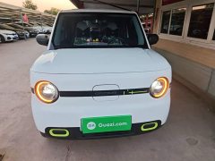 Geely Panda Mini 210km Vitality Edition - ფოტო 3