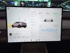 Nio Lerado L60 60kWh AWD - ფოტო 12