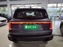 Great Wall Dachshund 2026 1.5T DCT Border Collie Edition - ფოტო 6