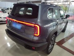Great Wall Dachshund 2026 1.5T DCT Border Collie Edition - ფოტო 7