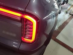 Great Wall Dachshund 2026 1.5T DCT Border Collie Edition - ფოტო 8