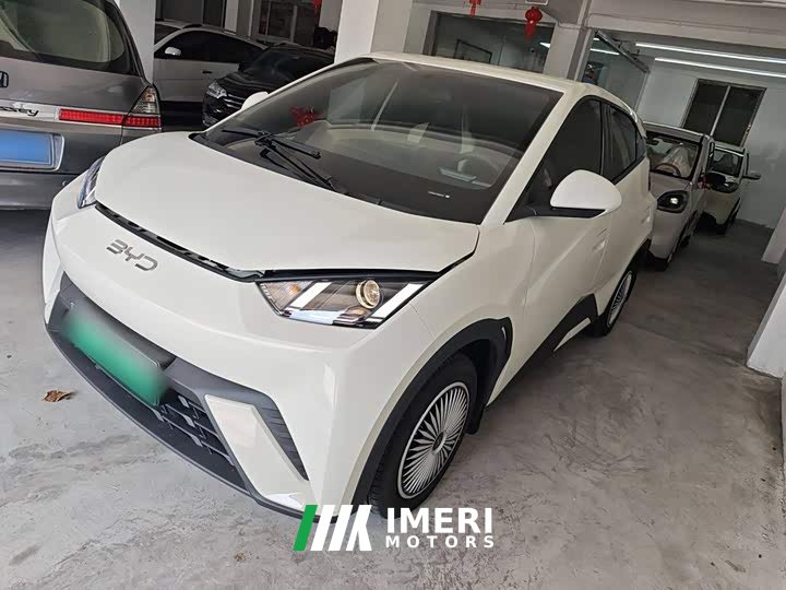 BYD Seagull 305km Vitality Edition - ავტომობილი ჩინეთიდან