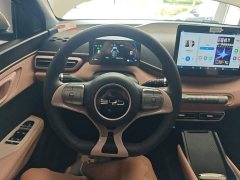BYD Seagull 305km Vitality Edition - ფოტო 11