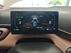 BYD Seagull 305km Vitality Edition - ფოტო 12