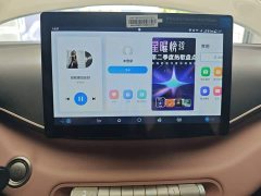 BYD Seagull 305km Vitality Edition - ფოტო 13