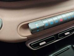 BYD Seagull 305km Vitality Edition - ფოტო 14