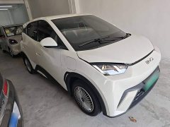 BYD Seagull 305km Vitality Edition - ფოტო 4