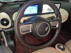 Wuling Binguo 203km Light Enjoy Edition - ფოტო 11