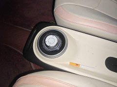 Wuling Binguo 203km Light Enjoy Edition - ფოტო 14