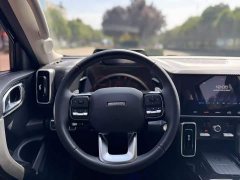 Great Wall Dachshund 2022 1.5T DCT Two-Wheel Drive Border Collie Edition - ფოტო 11