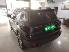 Great Wall Dachshund 2022 1.5T DCT Two-Wheel Drive Border Collie Edition - ფოტო 5