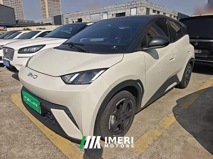 BYD Seagull Glory Edition 305km Freedom Version - ავტომობილი ჩინეთიდან