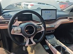 BYD Seagull Glory Edition 305km Freedom Version - ფოტო 10