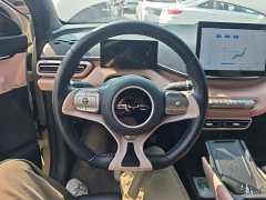 BYD Seagull Glory Edition 305km Freedom Version - ფოტო 11
