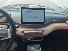 BYD Seagull Glory Edition 305km Freedom Version - ფოტო 13