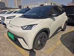 BYD Seagull Glory Edition 305km Freedom Version - ფოტო 2