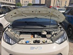 BYD Seagull Glory Edition 305km Freedom Version - ფოტო 20