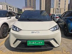 BYD Seagull Glory Edition 305km Freedom Version - ფოტო 3