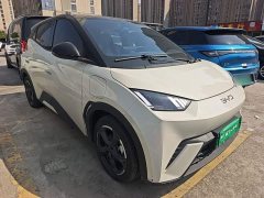BYD Seagull Glory Edition 305km Freedom Version - ფოტო 4