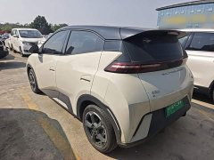 BYD Seagull Glory Edition 305km Freedom Version - ფოტო 5