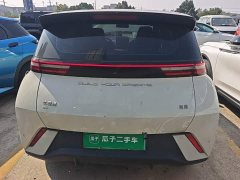 BYD Seagull Glory Edition 305km Freedom Version - ფოტო 6
