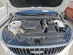 Geely Emgrand 2026 4 Million Commemorative Edition 1.5L CVT Excellence - ფოტო 20