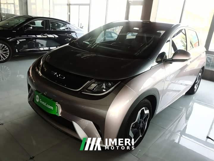 BYD Dolphin 405km Fashion Edition - ავტომობილი ჩინეთიდან