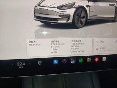 Tesla Model 3 2022 Rear-Wheel Drive - ფოტო 12