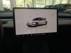 Tesla Model 3 2022 Rear-Wheel Drive - ფოტო 13