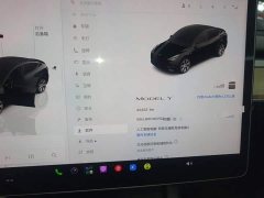 Tesla Model Y Rear-Wheel Drive - ფოტო 12